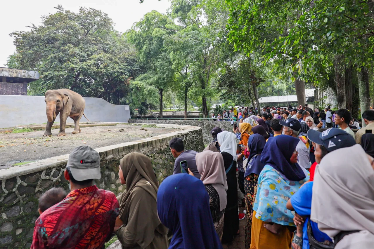 Libur Tahun Baru 2024,...