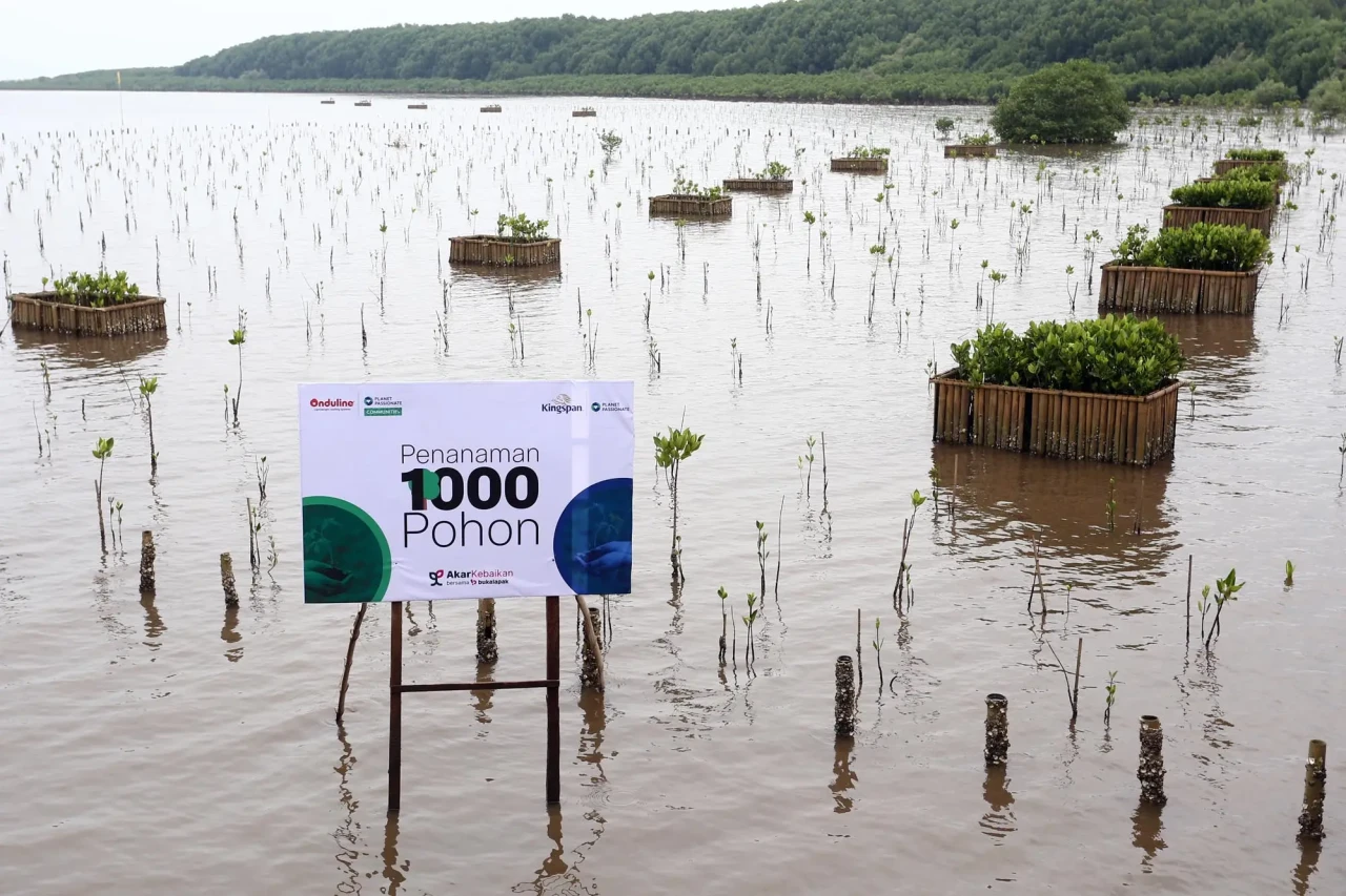 Penanaman 1.000 Pohon...