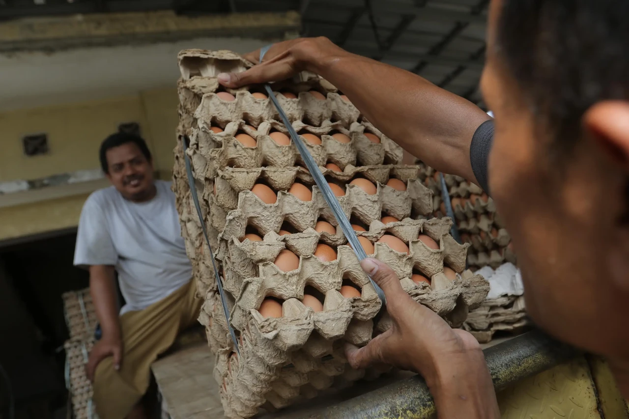 Pasokan Kurang, Harga...