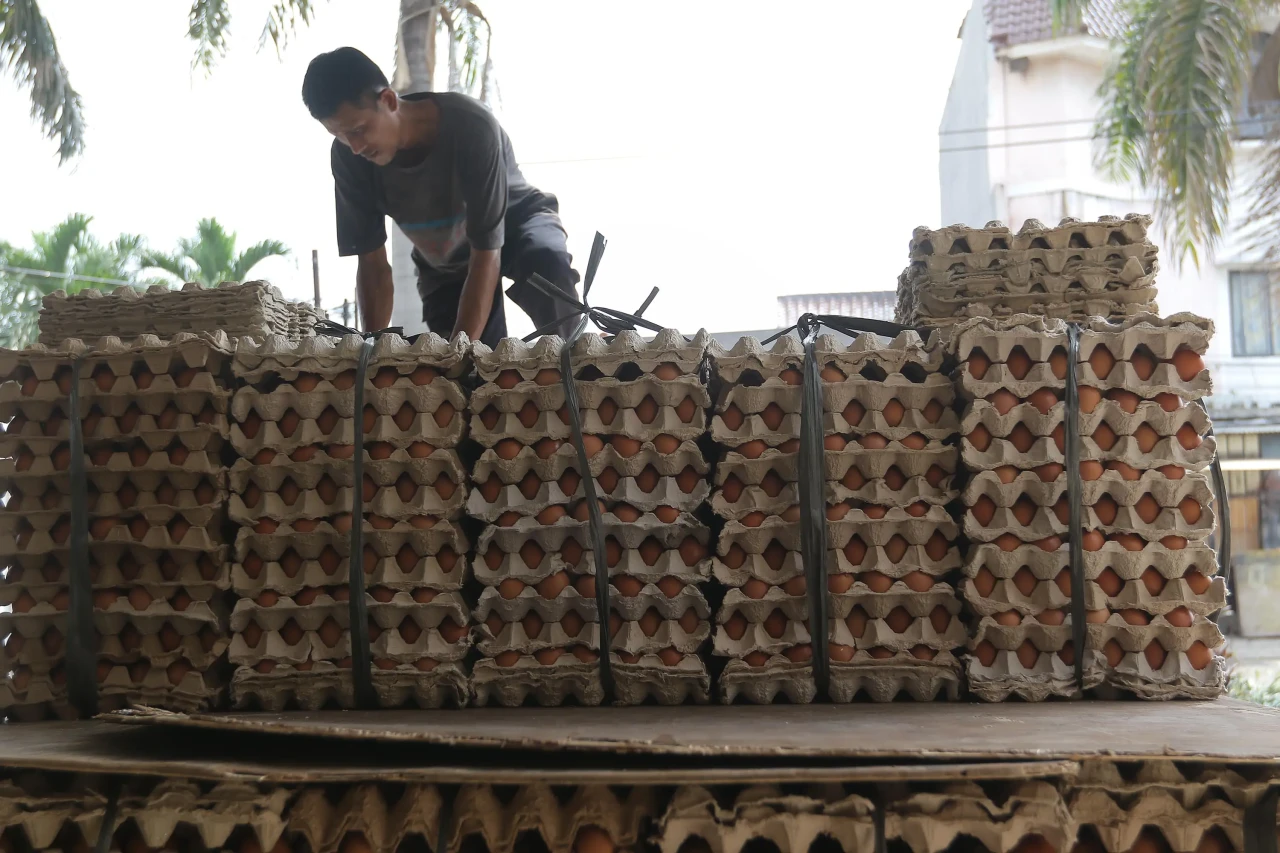 Pasokan Kurang, Harga...