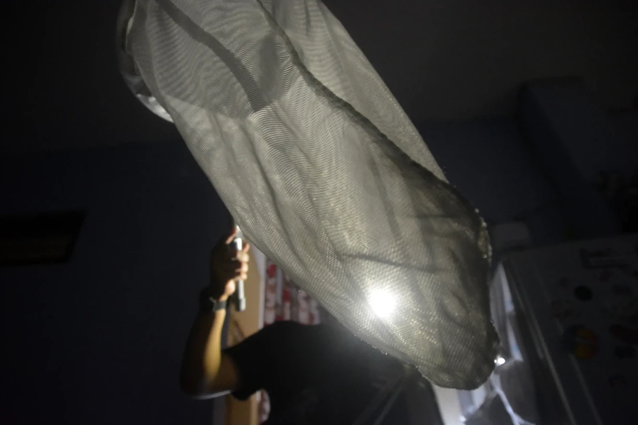 Berburu Nyamuk Aedes...
