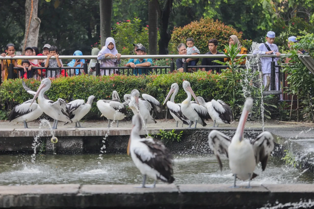 Taman Margasatwa Ragunan...