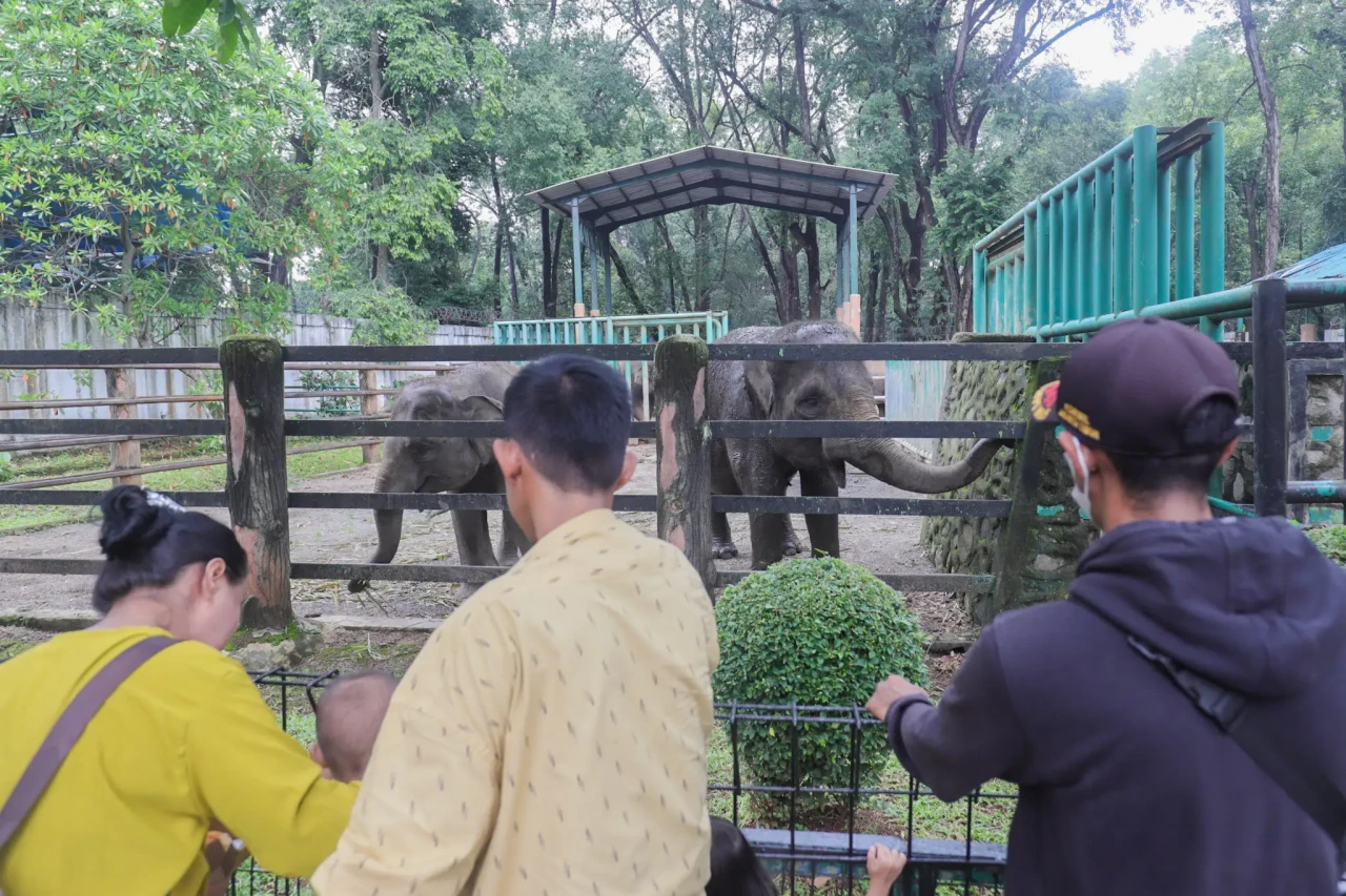 Taman Margasatwa Ragunan...