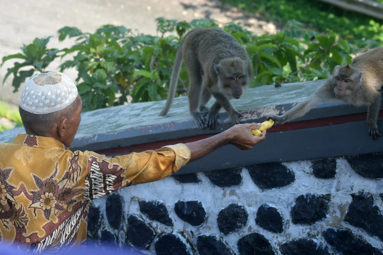 Kirab Budaya Tradisi...