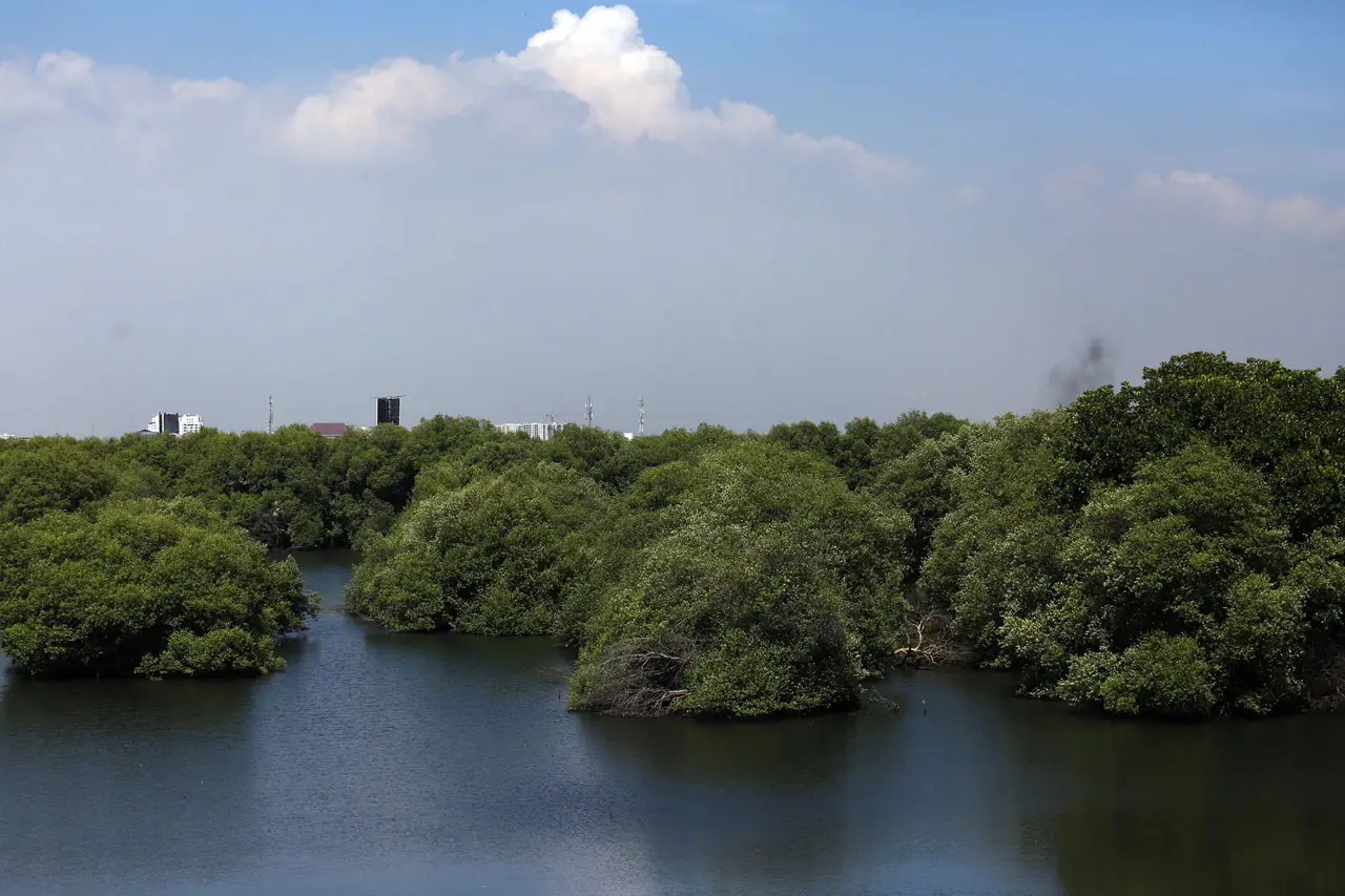 Menikmati Taman Wisata...