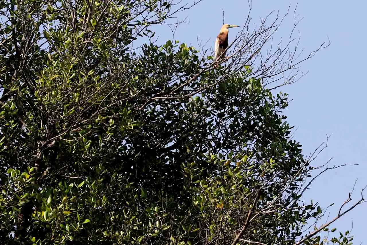 Menikmati Taman Wisata...