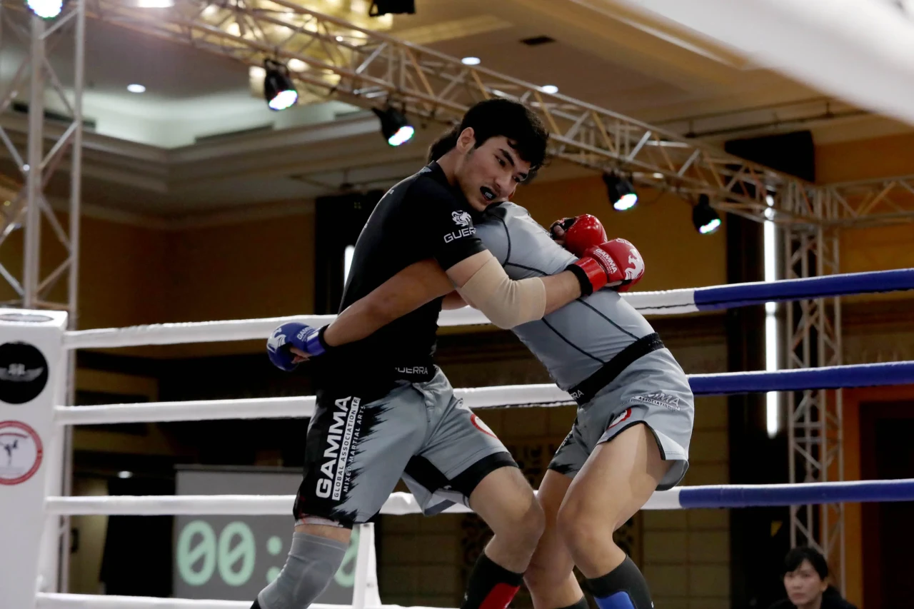 Kejuaraan Nasional MMA...