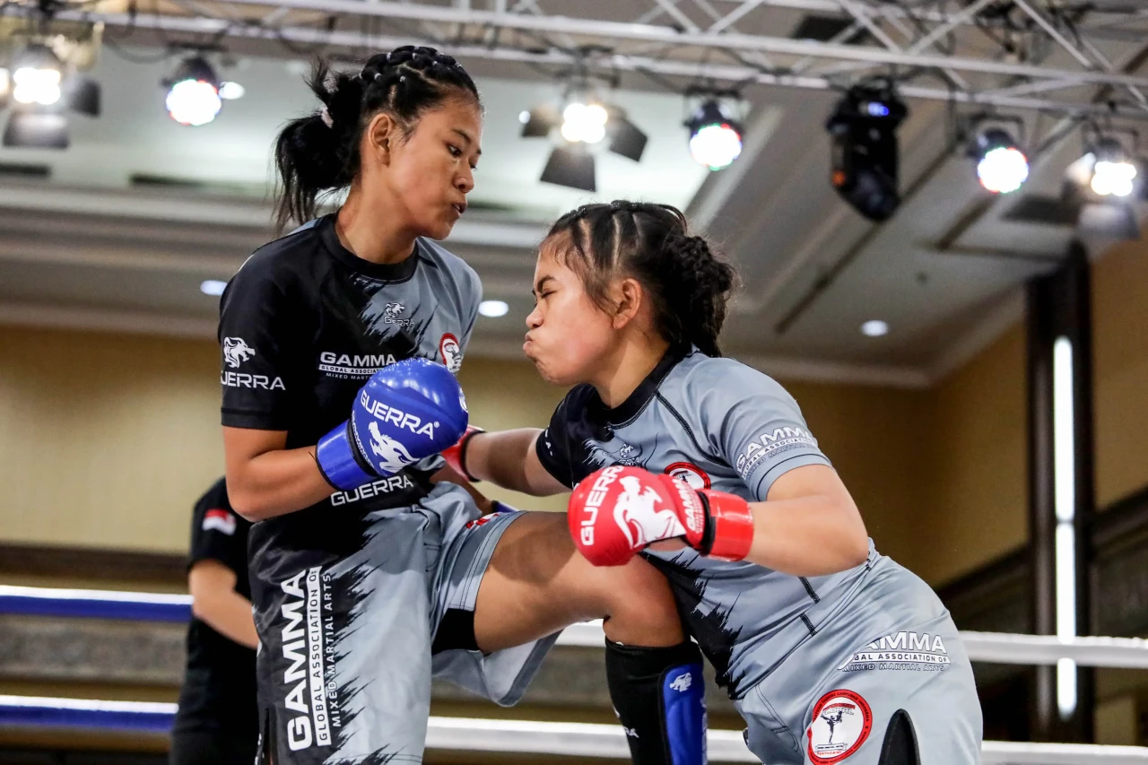 Kejuaraan Nasional MMA...