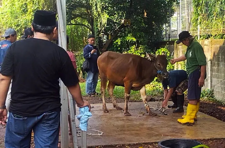 MNC Peduli dan Masjid...