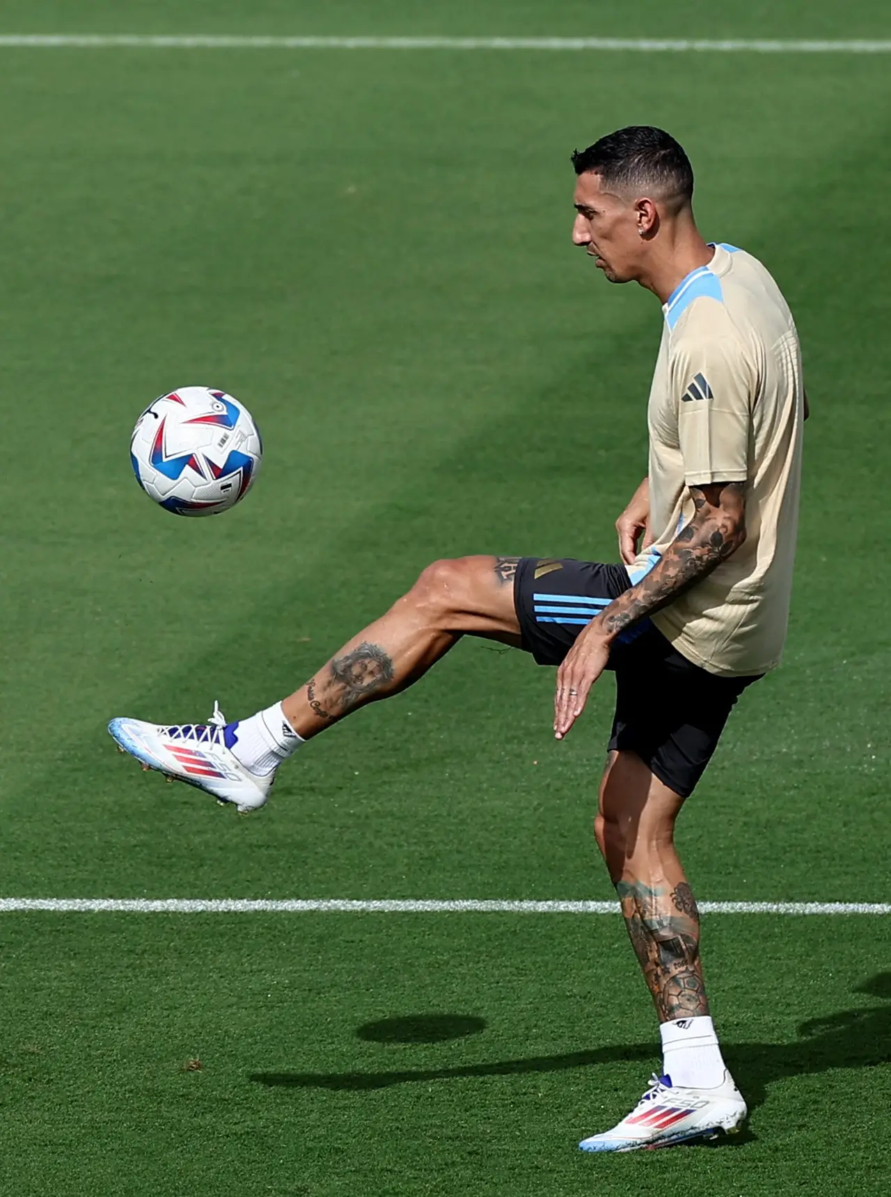 Intip Persiapan Juara...