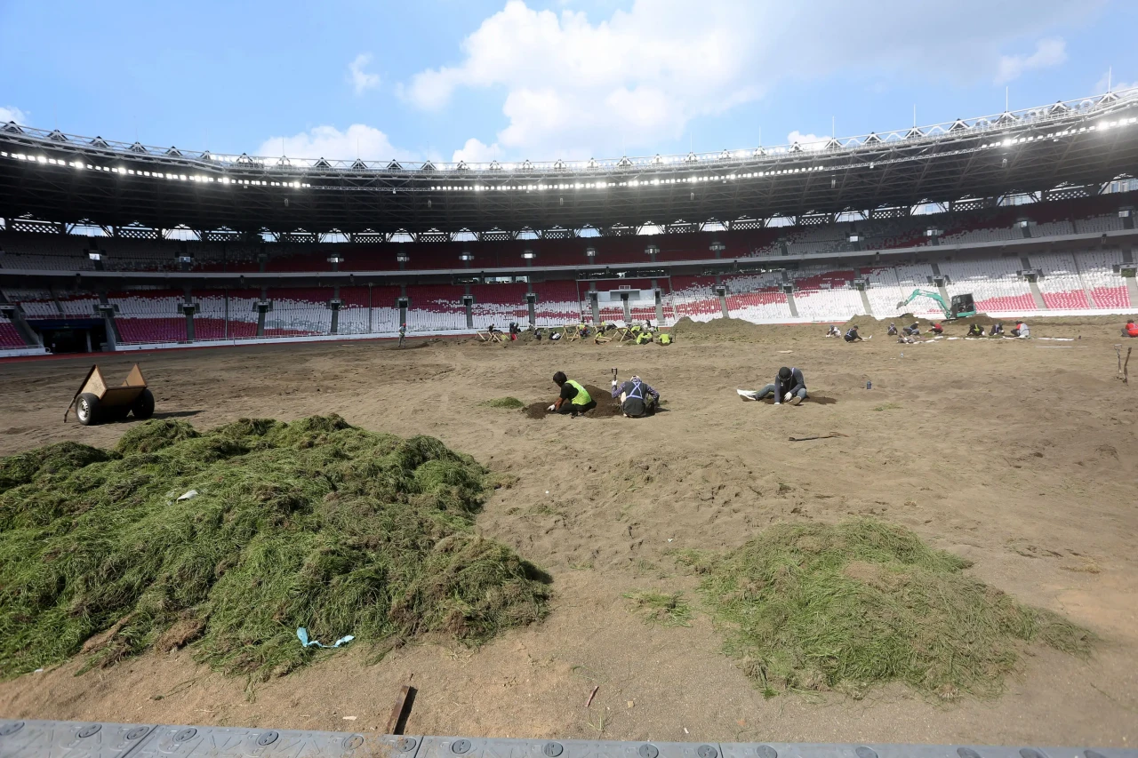 Revitalisasi Rumput...