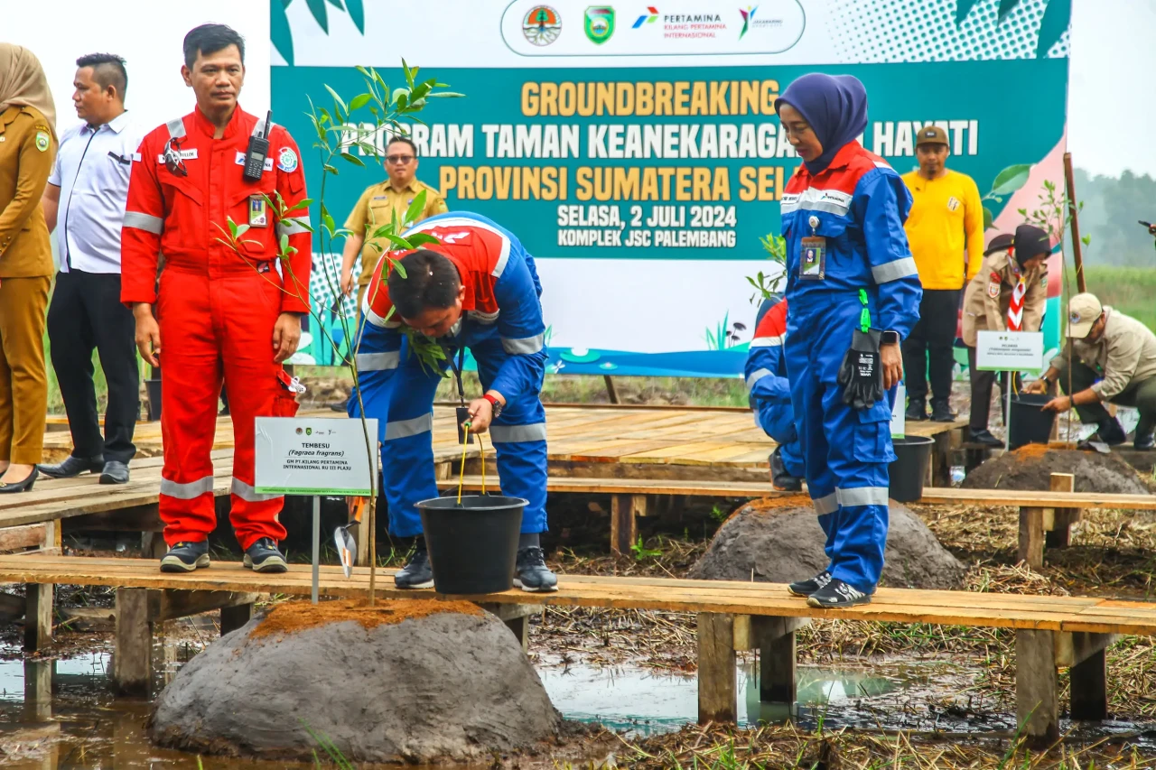 Taman Rawa Pertama Indonesia...