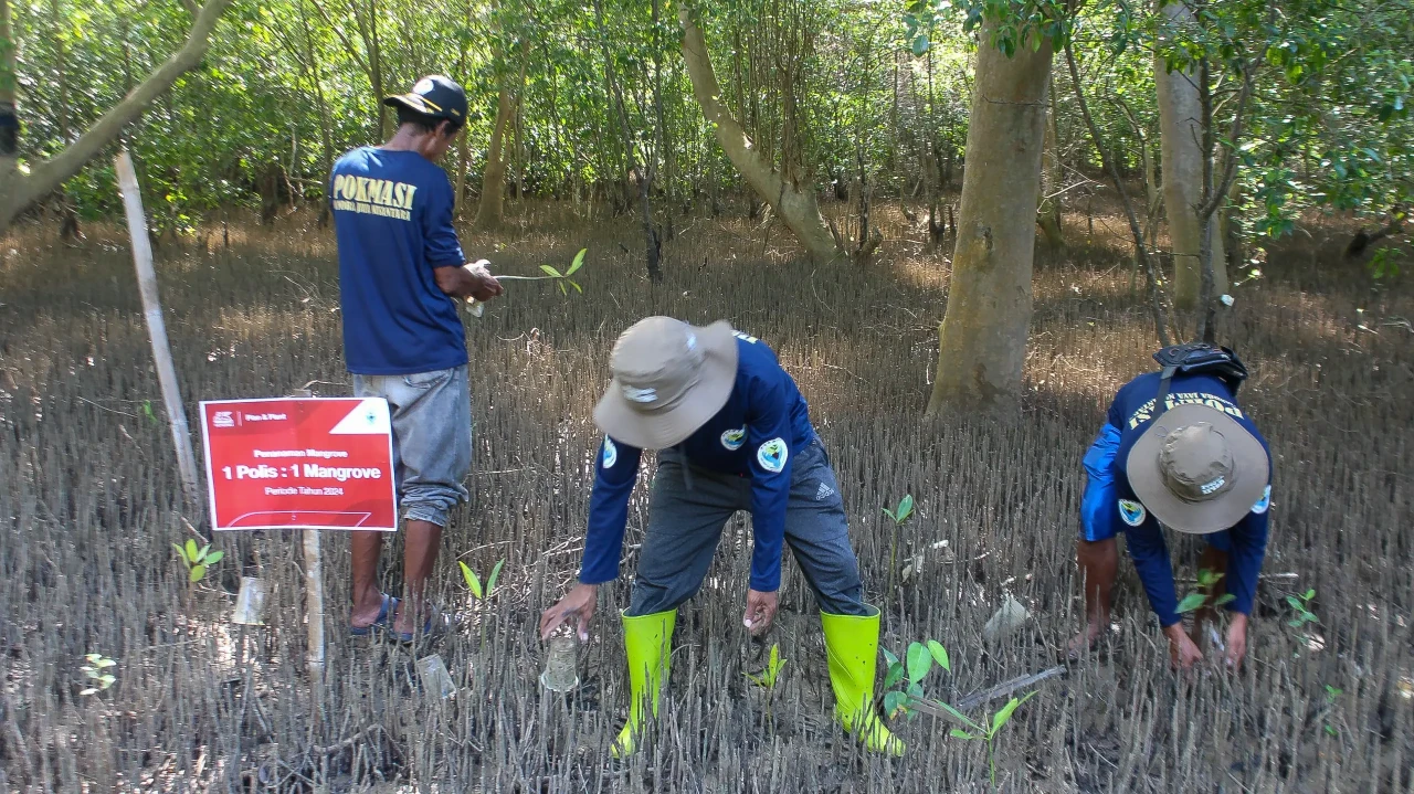 Penanaman Mangrove Bukti...