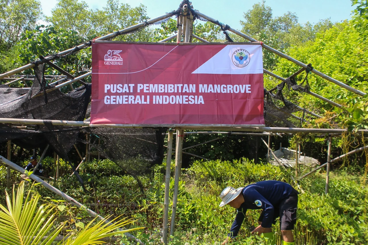 Penanaman Mangrove Bukti...