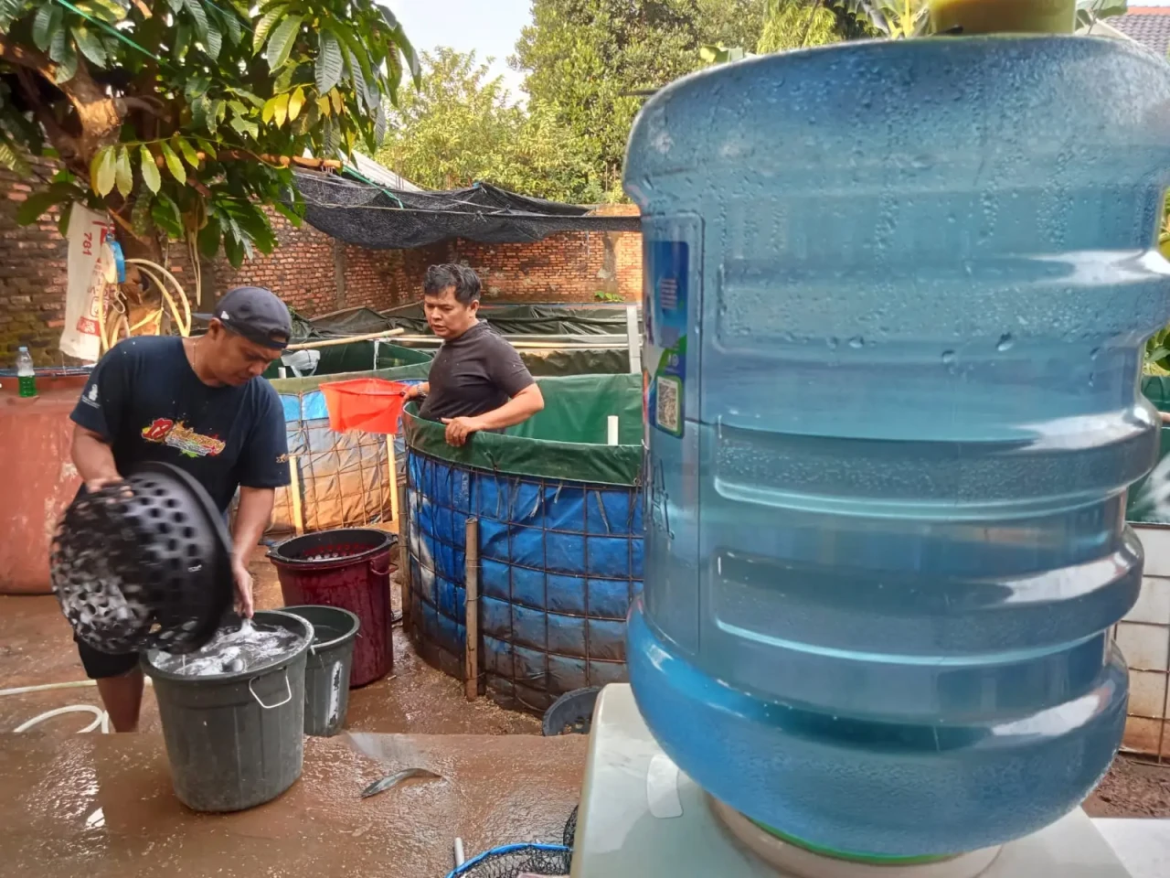 Melihat Budidaya Ikan...