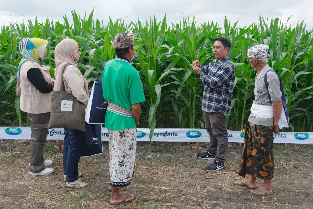 Syngenta Perkenalkan...