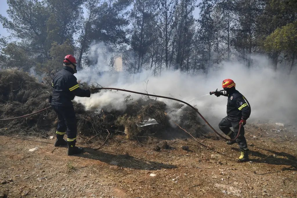 Kebakaran Hebat di Hutan...