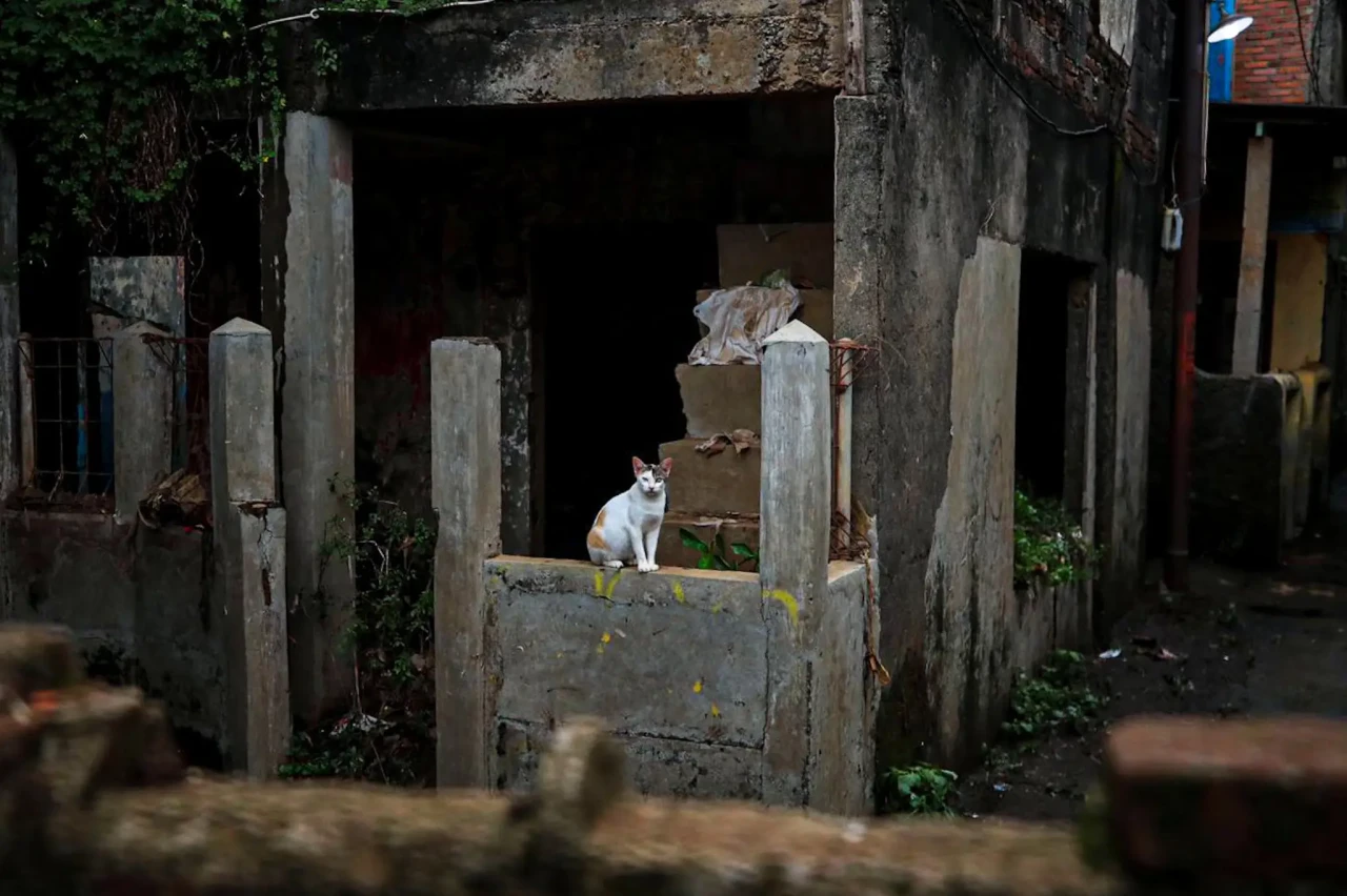 Sunyi Sepi Kampung ‘Zombie’...