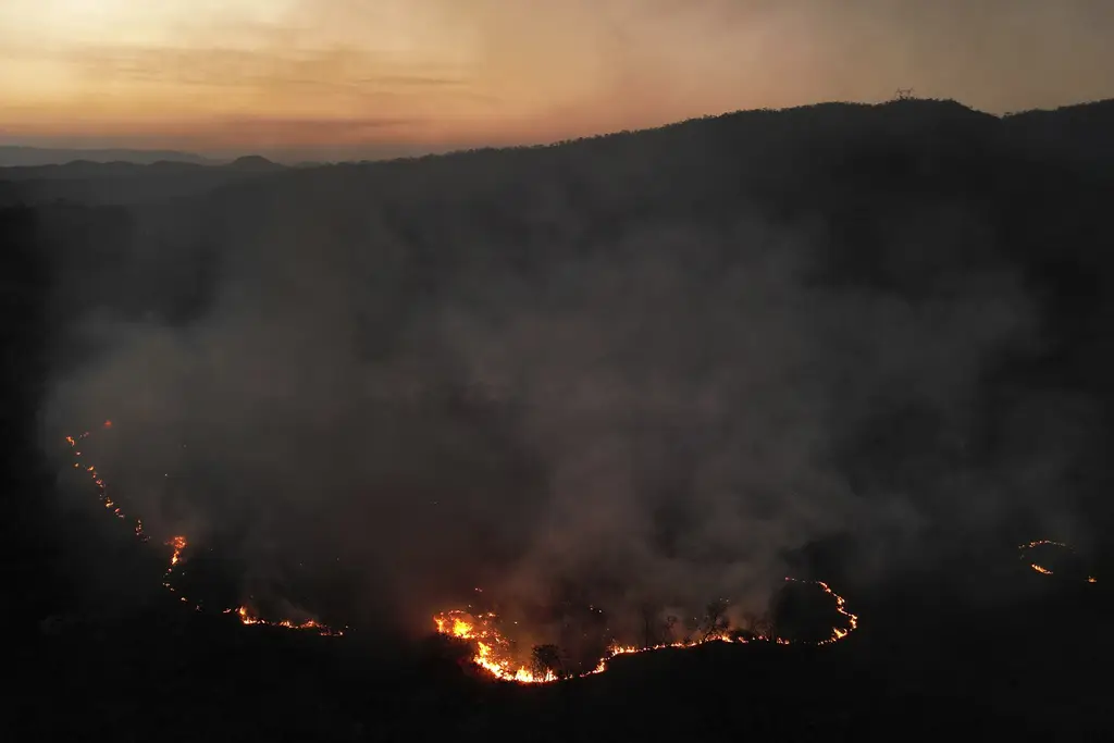 Kebakaran Hutan Menghancurkan...