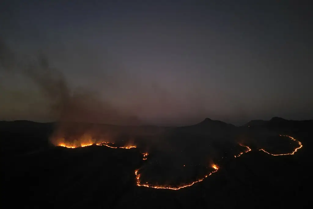 Kebakaran Hutan Menghancurkan...
