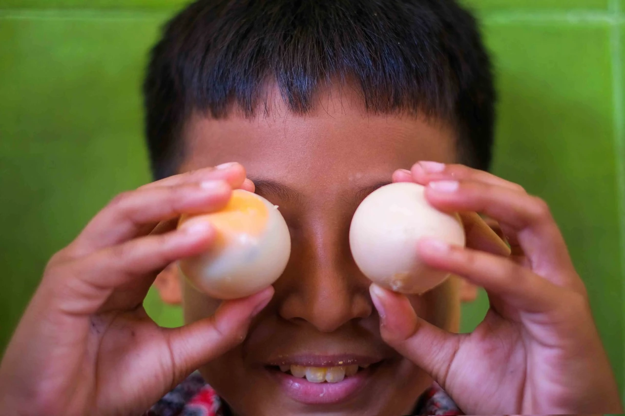 Telur Omega 3 Gratis...