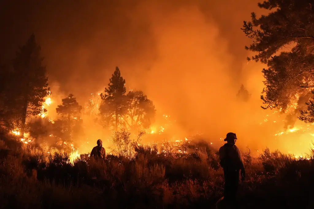 Kebakaran Hutan di Wrightwood...