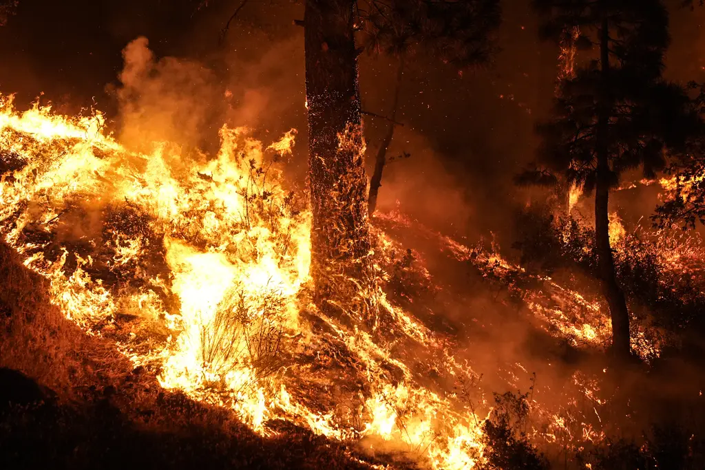 Kebakaran Hutan di Wrightwood...
