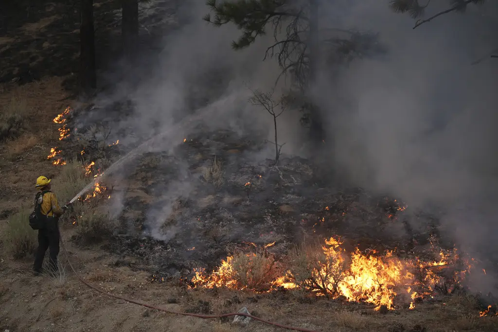 Kebakaran Hutan di California...