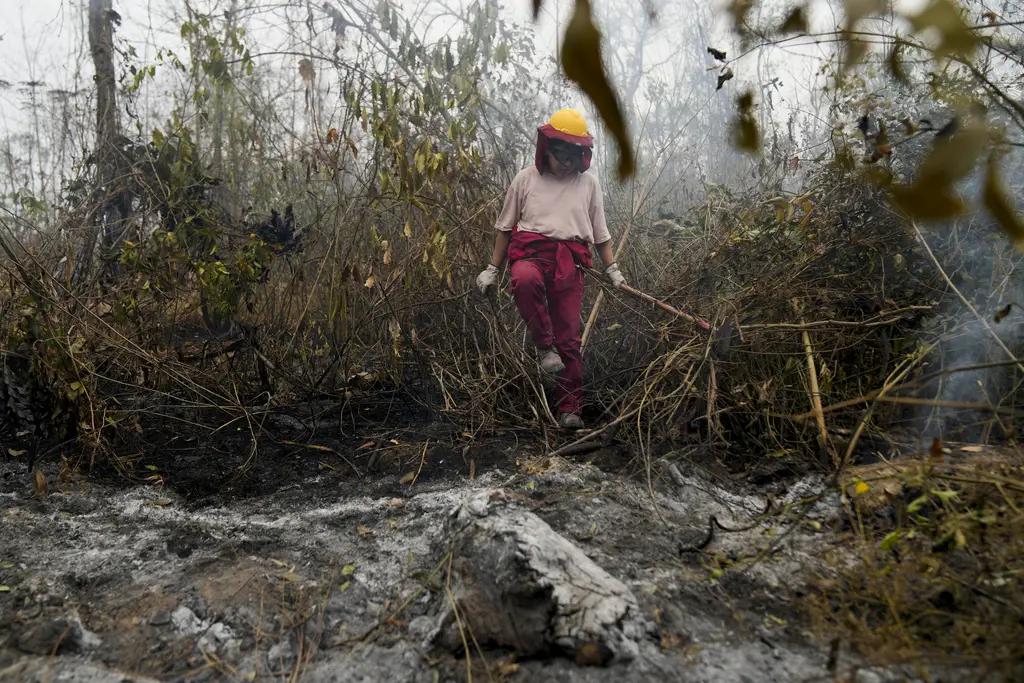 Kebakaran Hutan Parah...