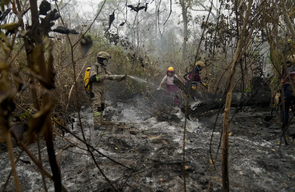 Kebakaran Hutan Parah...