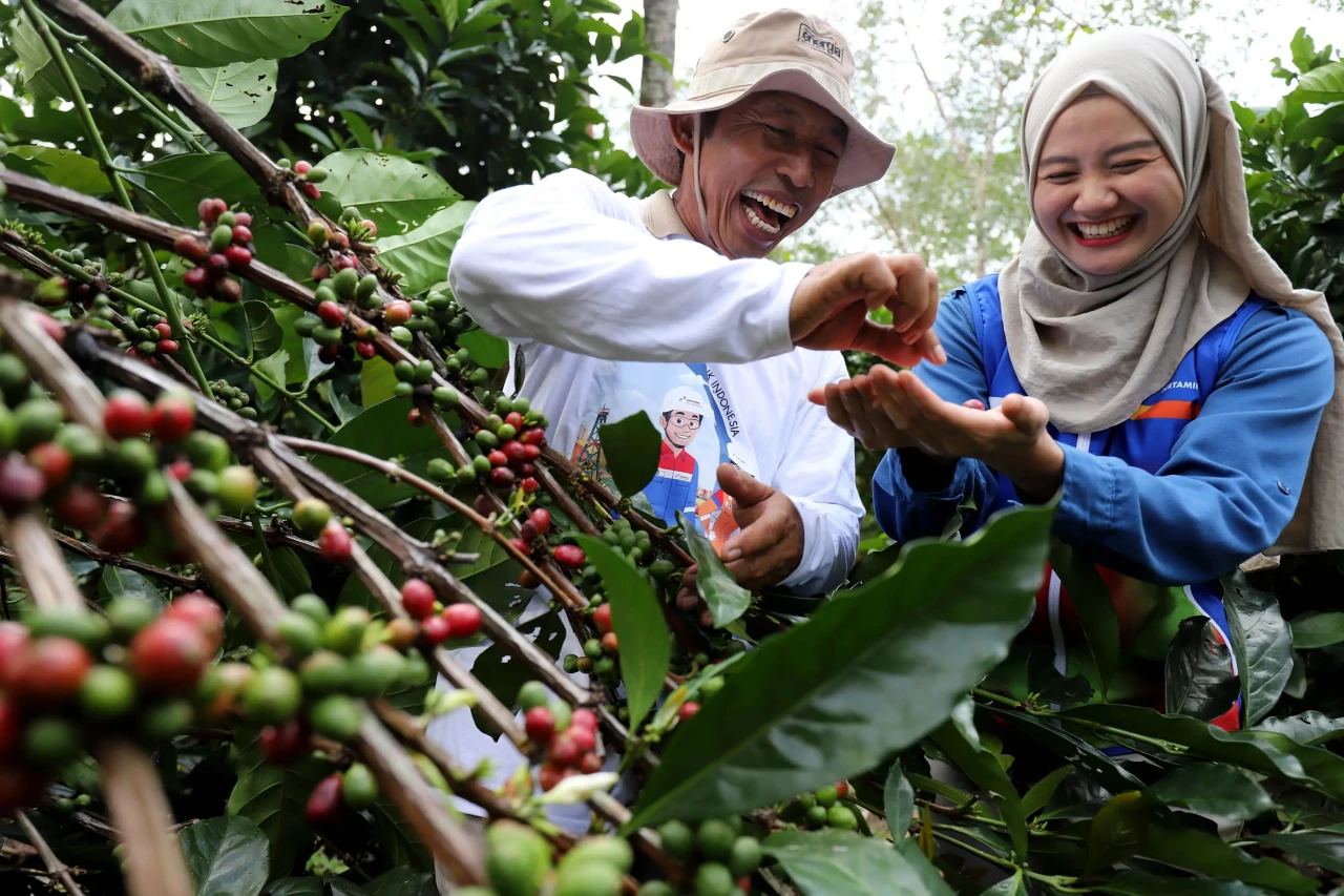 Kampung Kopi Luwak Liberika:...