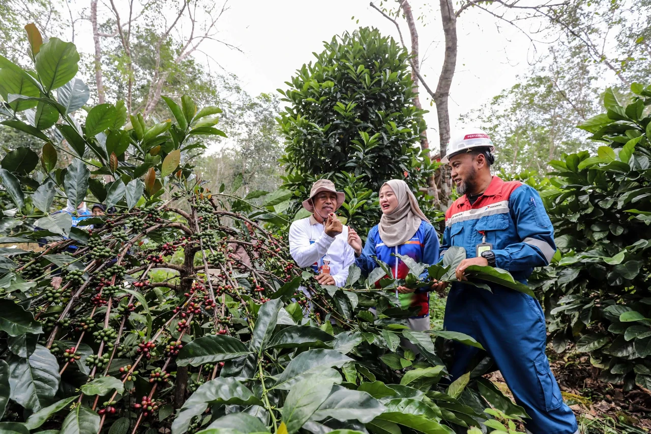 Kampung Kopi Luwak Liberika:...