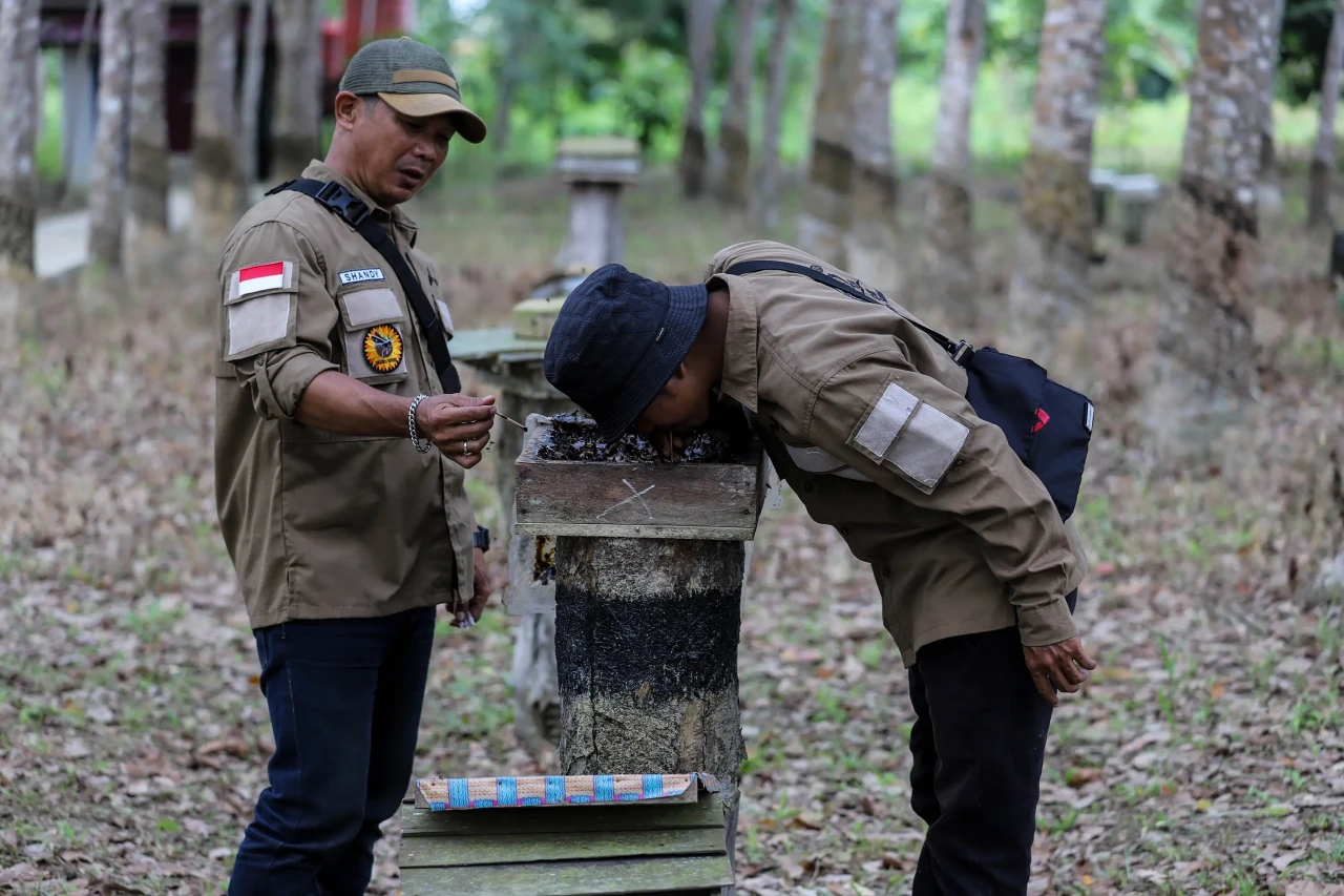 Madu Kelulut dan Wisata...
