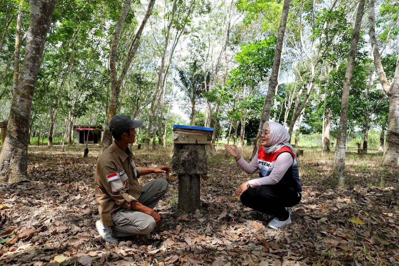 Madu Kelulut dan Wisata...