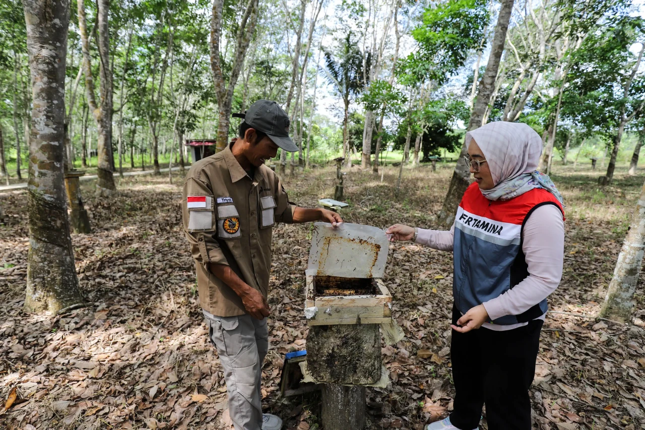 Madu Kelulut dan Wisata...