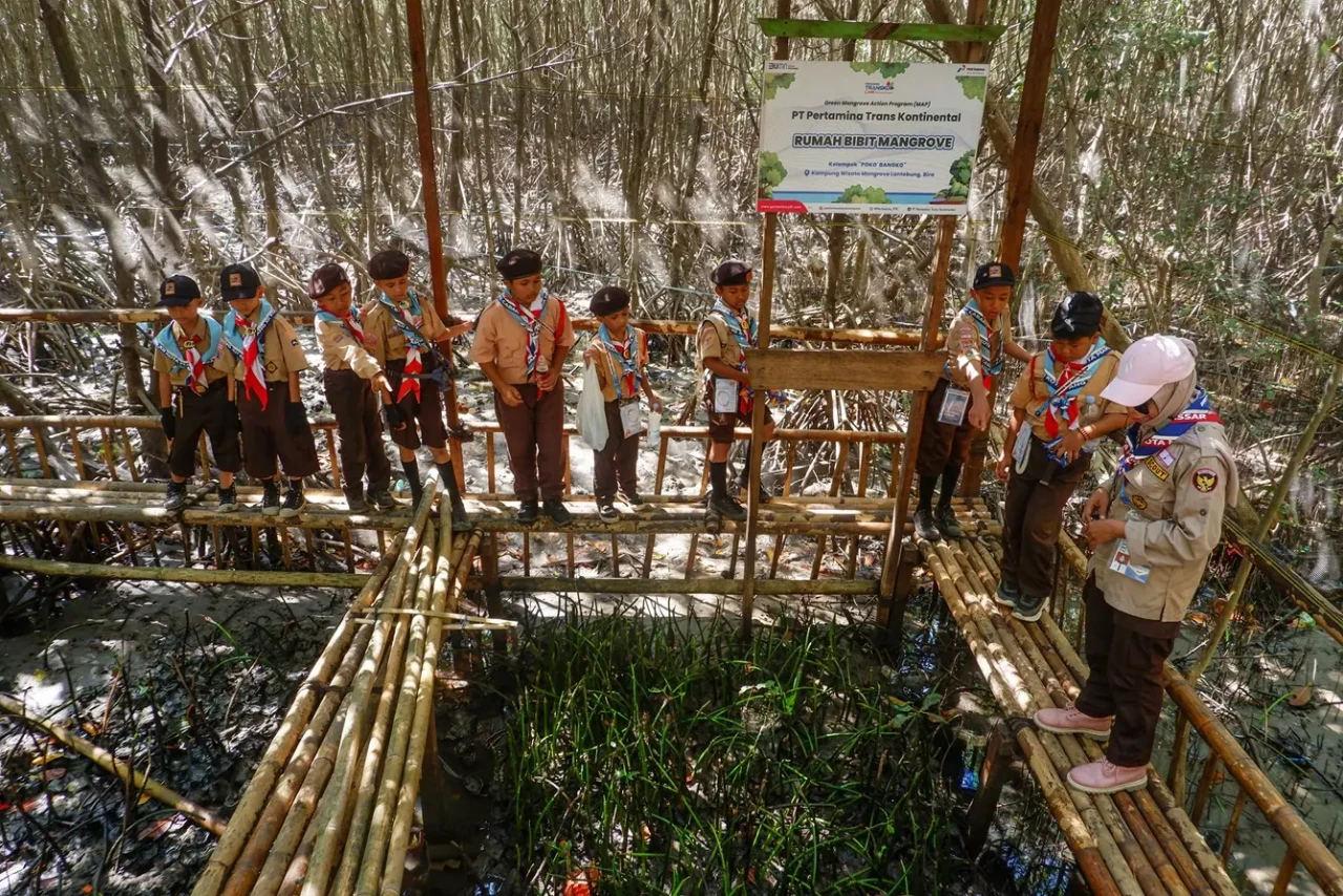 Merawat Mangrove Demi...