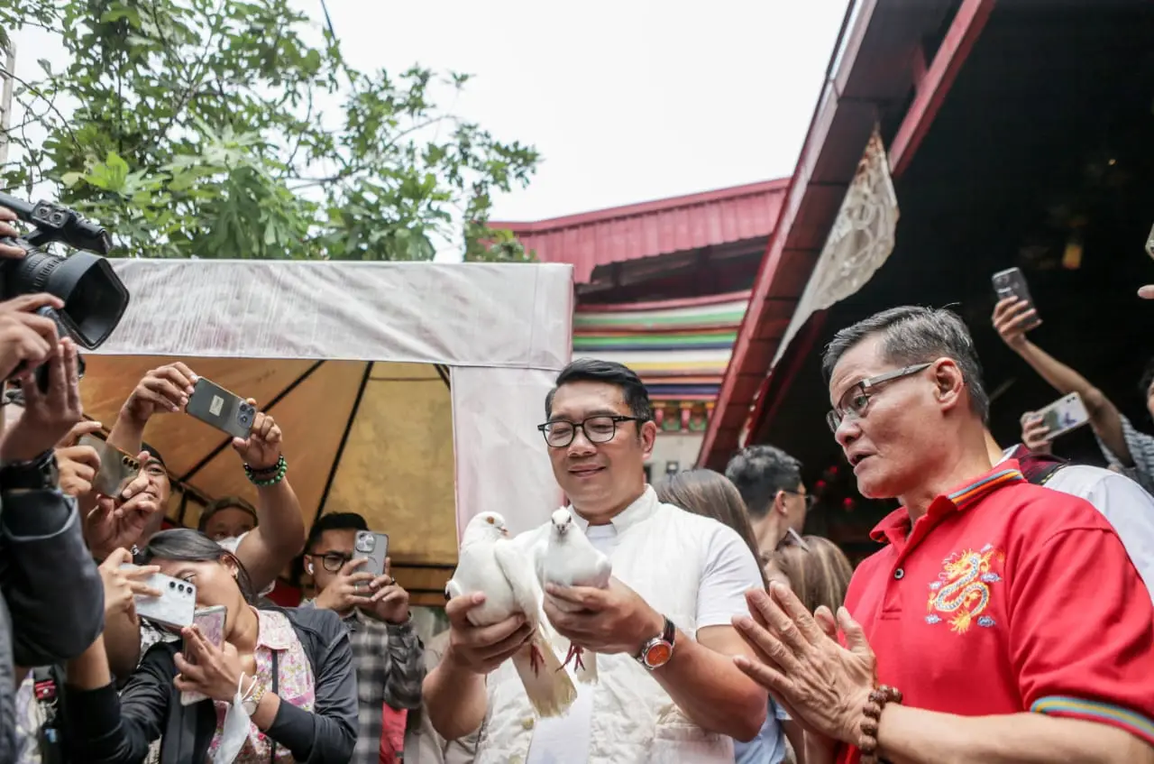 Merpati Putih dan Harapan...