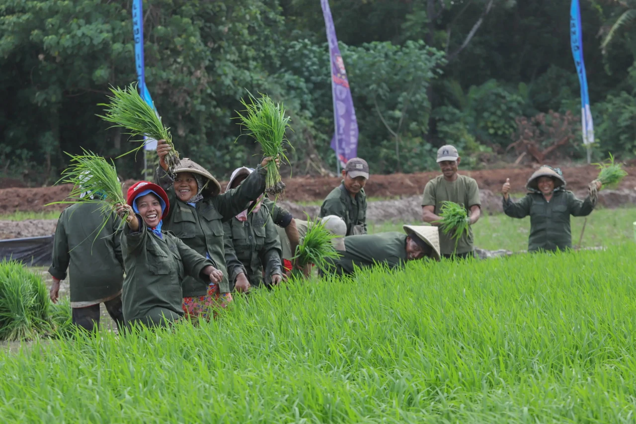 Program Tanam Padi TNI...