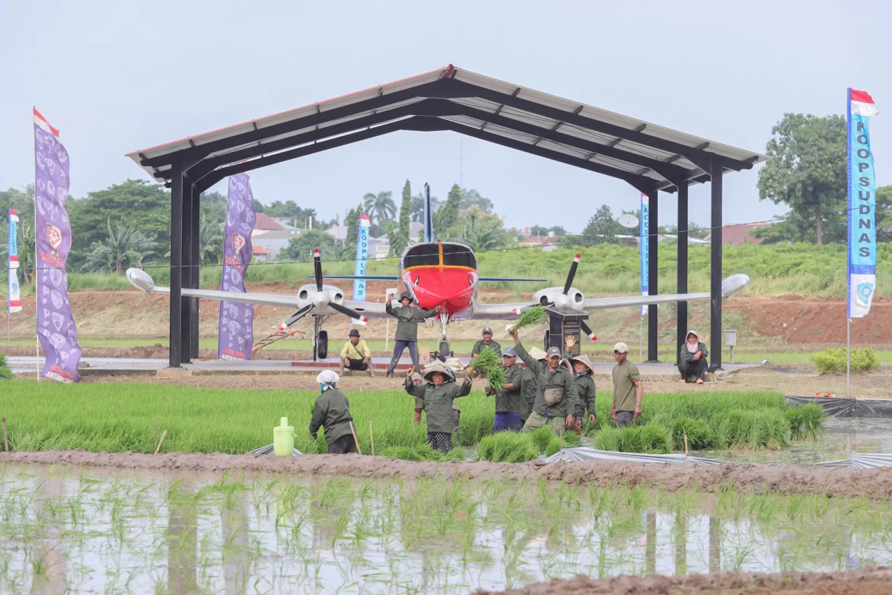 Program Tanam Padi TNI...