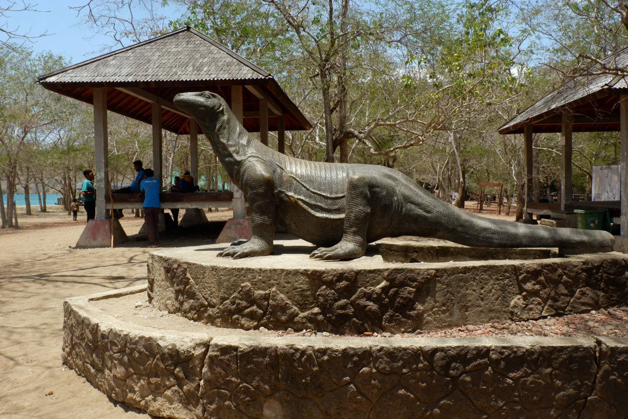 Menelusuri Jejak Komodo...