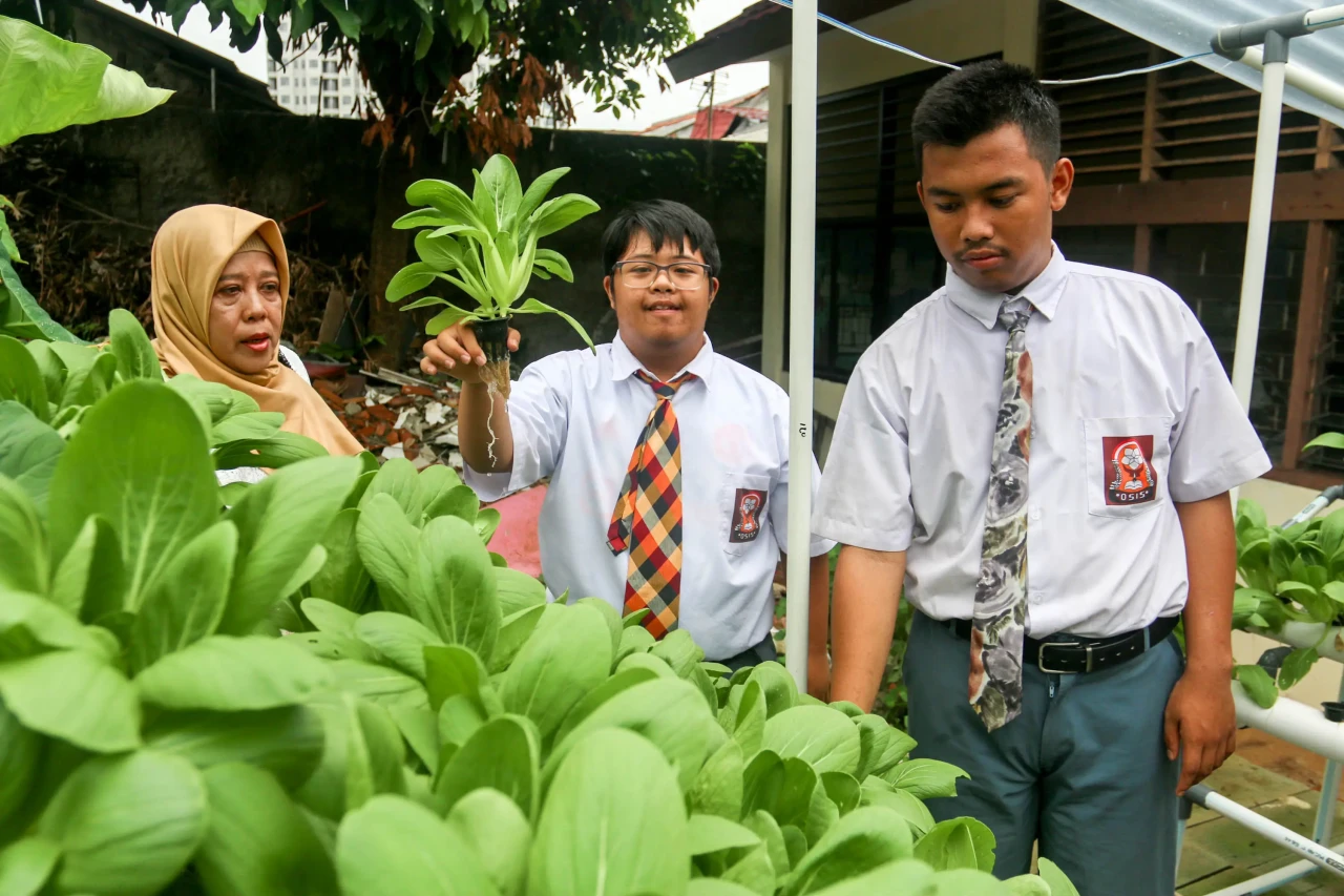 Melihat Kebun Hidroponik...