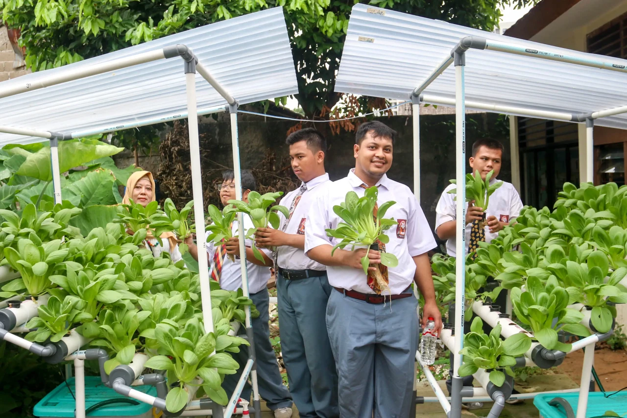 Melihat Kebun Hidroponik...