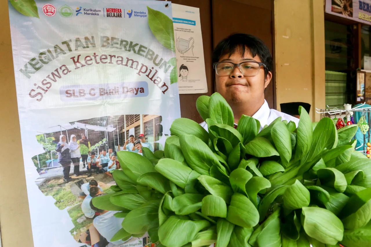 Melihat Kebun Hidroponik...
