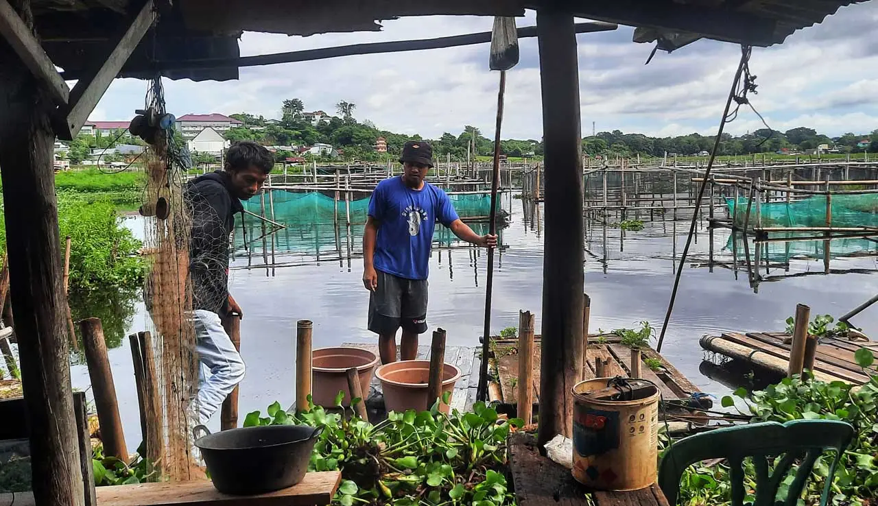 Budidaya Ikan Air Tawar...