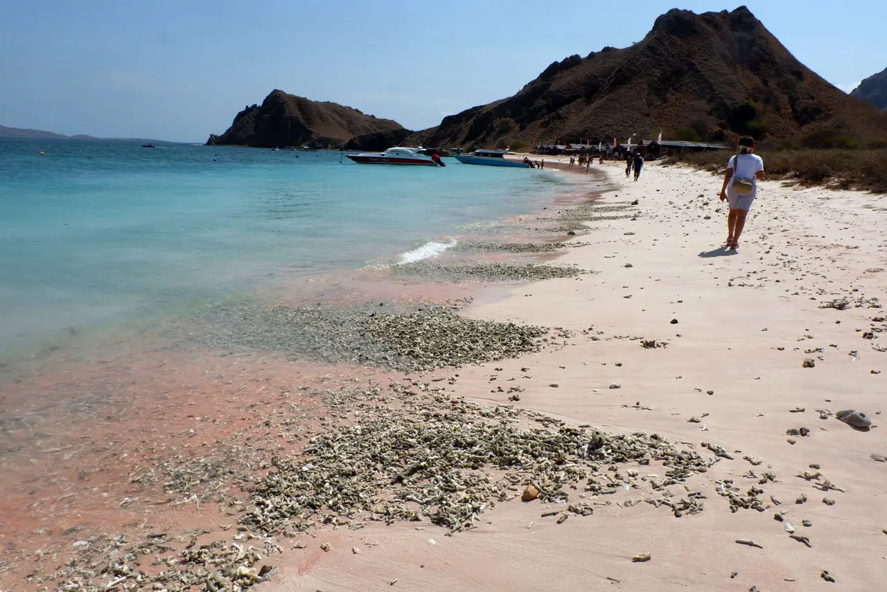 Liburan ke Pantai Pink...