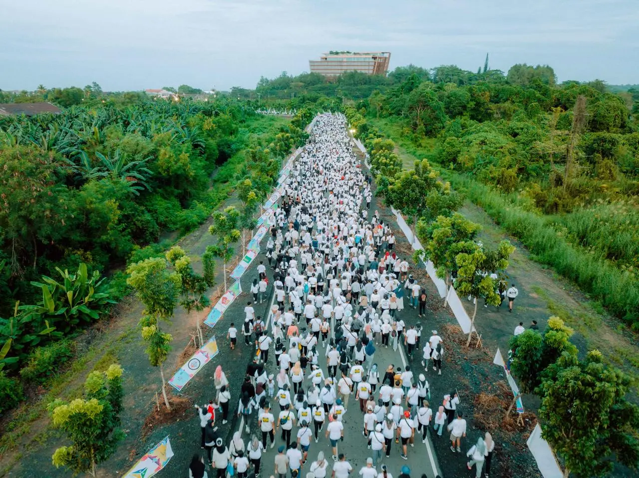 50 Ribu Peserta Ikuti...