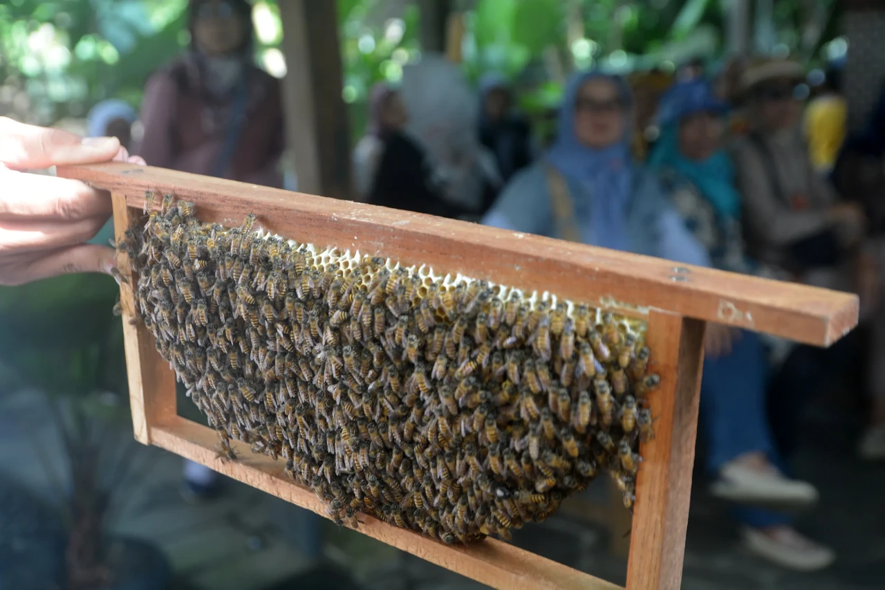 Setetes Manis Pahitnya...