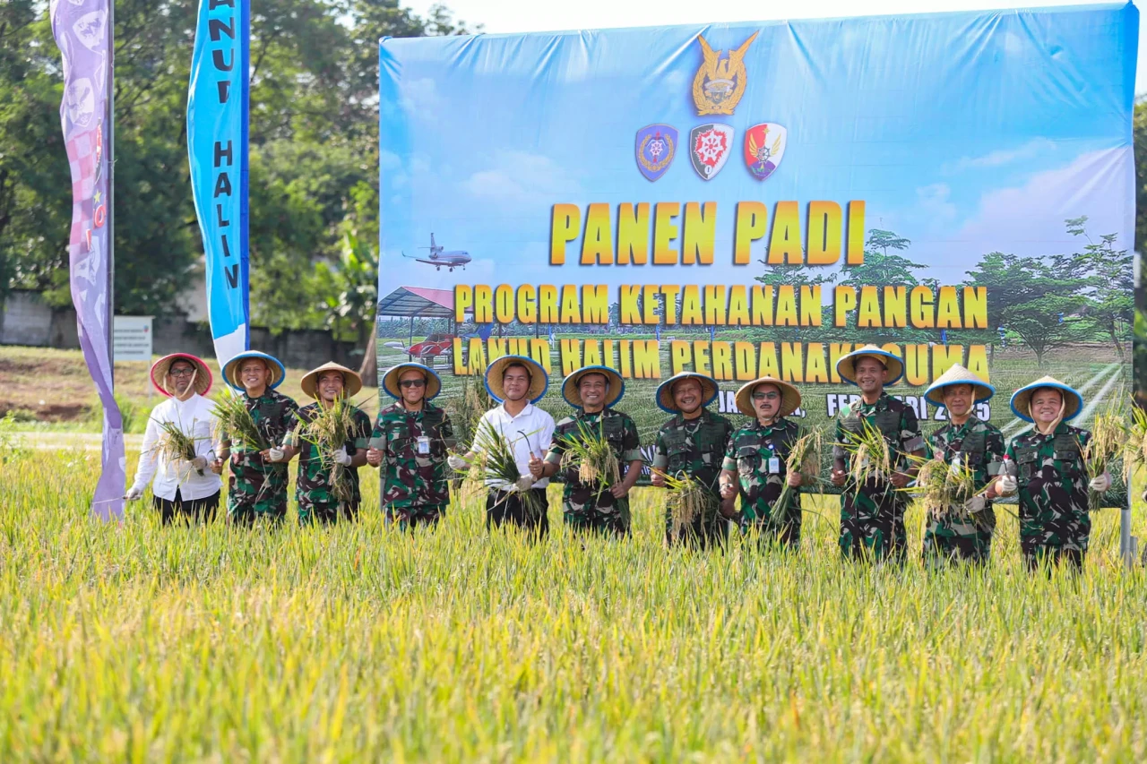 Panen Padi untuk Program...