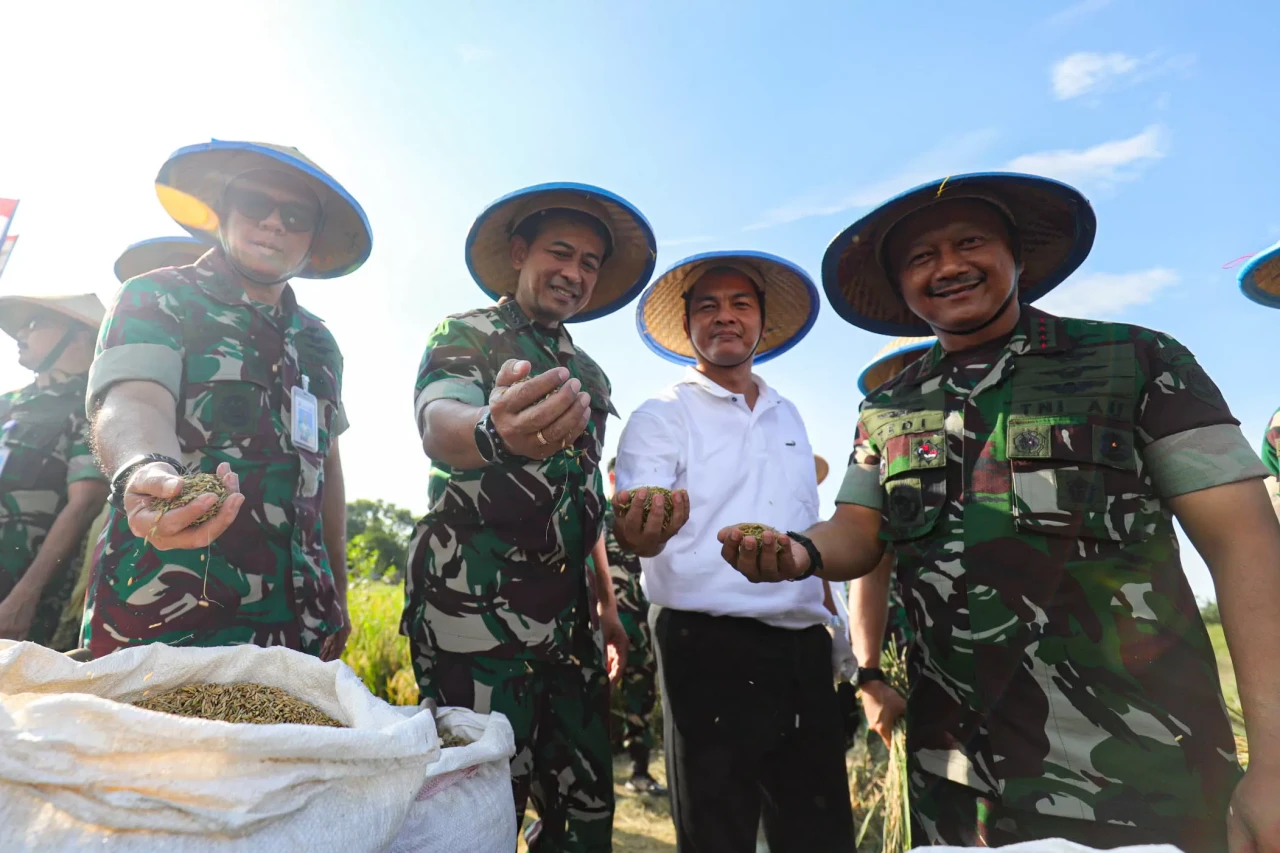Panen Padi untuk Program...