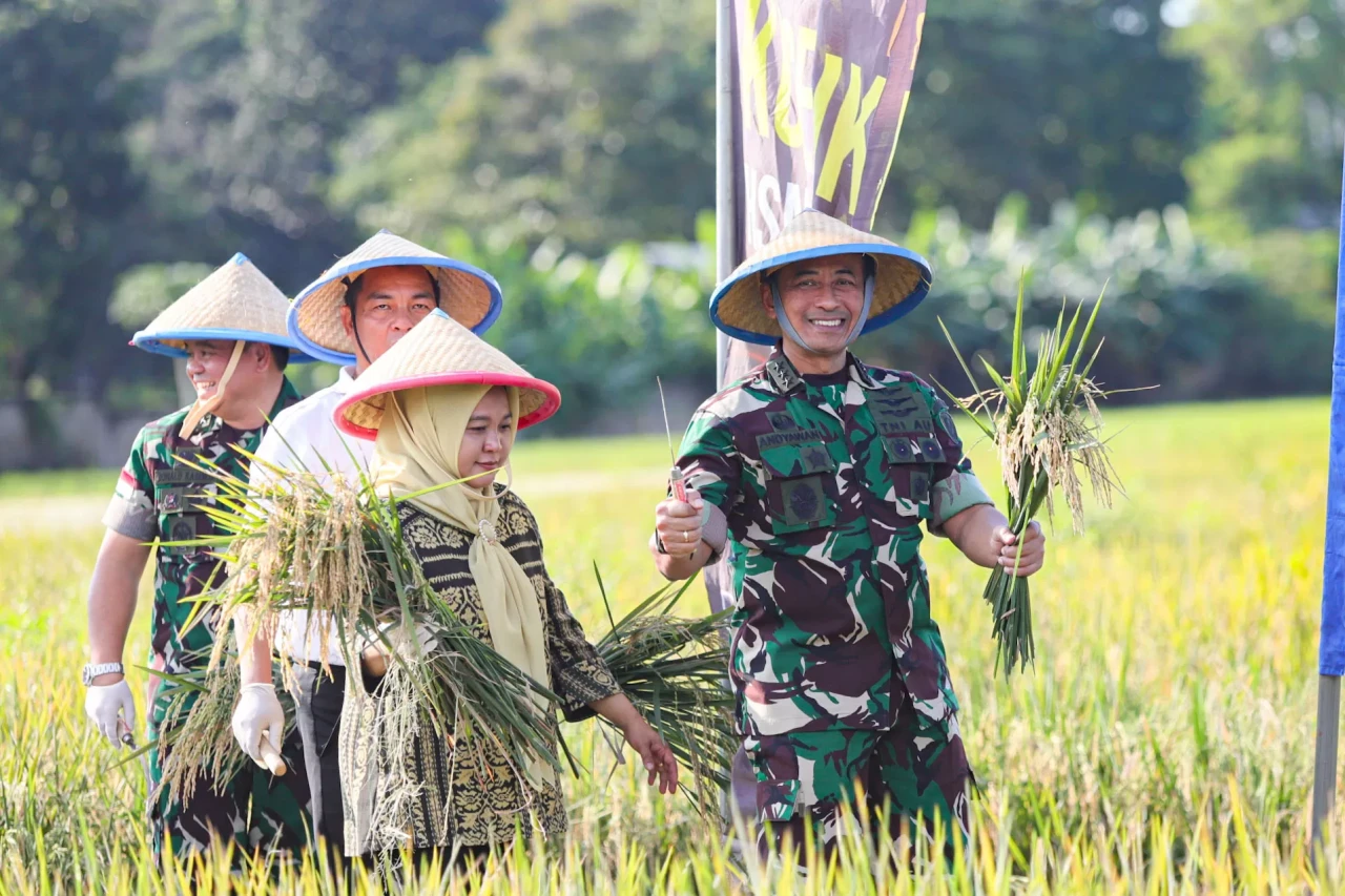 Panen Padi untuk Program...